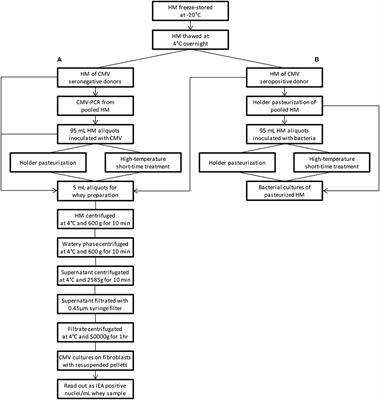 High-Temperature Short-Time Treatment of Human Milk for Bacterial Count Reduction